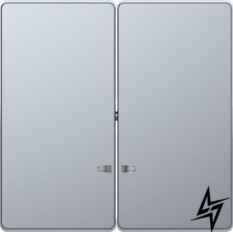 Подвійна клавіша з підсвічуванням Schneider Electric MEG3420-6036 Merten D-Life, сталь, глянцева MEG3420-6036 фото