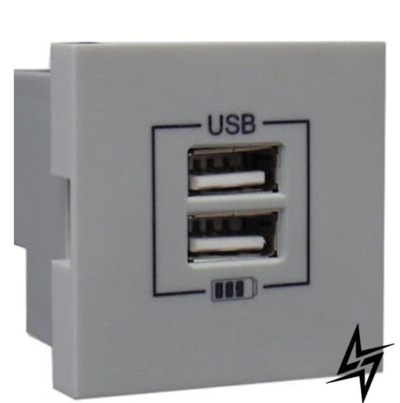 Механізм подвійний USB розетки Logus 45439 SPR CHARGER TYPE A срібний Efapel фото