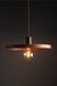 Подвесной светильник TK Lighting Sila 10750 зеленый E27 10750 - изображение 8