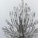Кришталева срібна люстра репліка Lily Buds на 9 ламп LE39477 Сірий 45x55x45см 9xG9 MD 8058 S Satin фото в дизайні інтер'єру, фото наживо 5/8