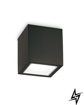 Потолочный уличный светильник 251530 Ideal Lux Techo GU10 фото