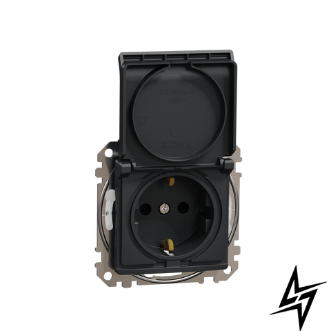 Розетка 220В с заземлением защитной крышкой и шторками Schneider Electric SDD214024 Sedna Design черный IP44 пластик фото