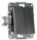 2-клавишный выключатель Schneider Electric EPH0300162 Asfora, сталь, матовый, 10 А, IP20 EPH0300162 - изображение 2